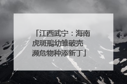江西武宁：海南虎斑鳽幼雏破壳 濒危物种添新丁