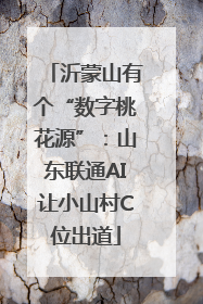 沂蒙山有个“数字桃花源”：山东联通AI让小山村C位出道