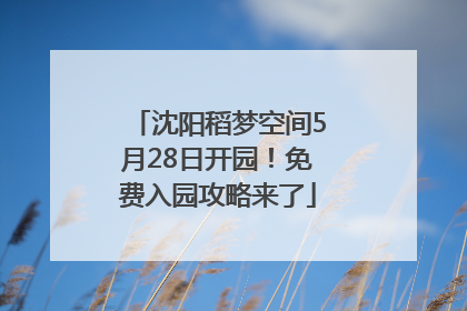 沈阳稻梦空间5月28日开园！免费入园攻略来了