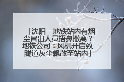 沈阳一地铁站内有烟尘冒出人员捂鼻撤离？地铁公司：风机开启致隧道灰尘飘散至站内