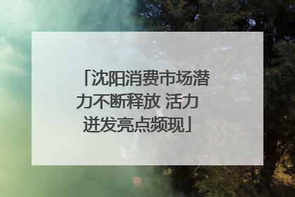沈阳消费市场潜力不断释放 活力迸发亮点频现