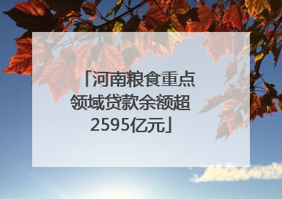 河南粮食重点领域贷款余额超2595亿元