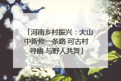 河南乡村振兴：大山中新修一条路 可古村寻幽 与野人共舞