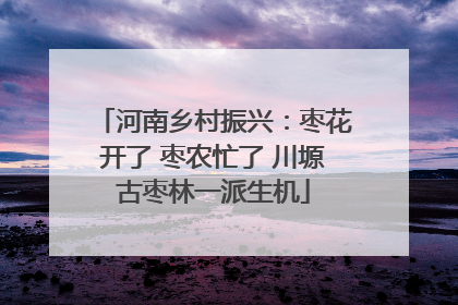 河南乡村振兴：枣花开了 枣农忙了 川塬古枣林一派生机