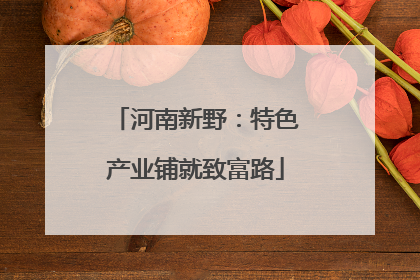 河南新野：特色产业铺就致富路