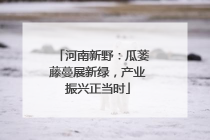 河南新野：瓜蒌藤蔓展新绿，产业振兴正当时