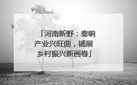 河南新野：奏响产业兴旺曲，铺展乡村振兴新画卷