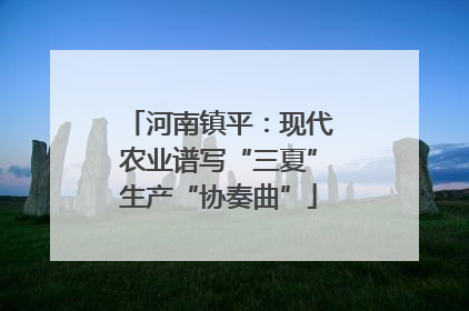 河南镇平：现代农业谱写“三夏”生产“协奏曲”