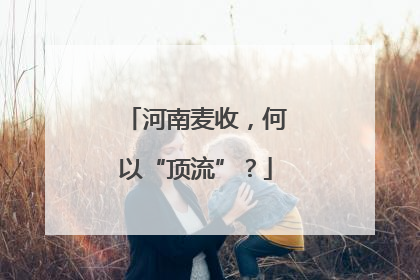 河南麦收，何以“顶流”？