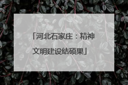河北石家庄：精神文明建设结硕果