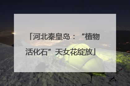 河北秦皇岛：“植物活化石”天女花绽放