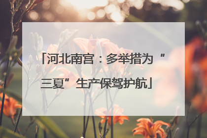 河北南宫：多举措为“三夏”生产保驾护航
