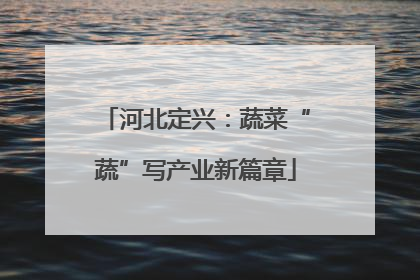 河北定兴：蔬菜“蔬”写产业新篇章