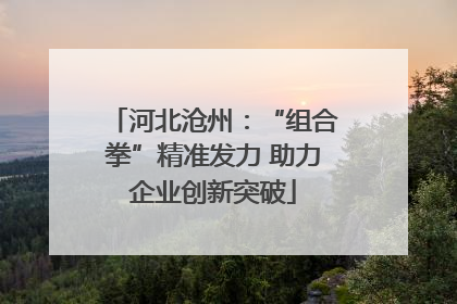 河北沧州：“组合拳”精准发力 助力企业创新突破