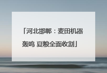 河北邯郸：麦田机器轰鸣 夏粮全面收割