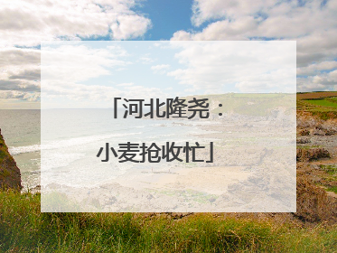 河北隆尧：小麦抢收忙