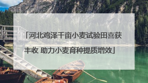 河北鸡泽千亩小麦试验田喜获丰收 助力小麦育种提质增效