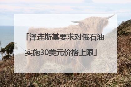 泽连斯基要求对俄石油实施30美元价格上限
