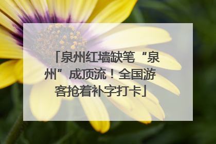 泉州红墙缺笔“泉州”成顶流！全国游客抢着补字打卡