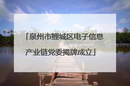 泉州市鲤城区电子信息产业链党委揭牌成立