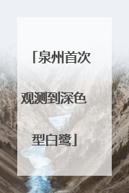泉州首次观测到深色型白鹭