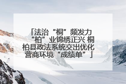 法治“桐”频发力 “柏”业锦绣正兴 桐柏县政法系统交出优化营商环境“成绩单”