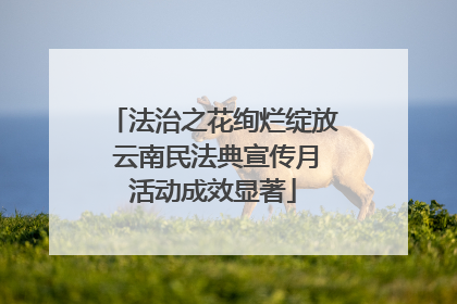 法治之花绚烂绽放 云南民法典宣传月活动成效显著