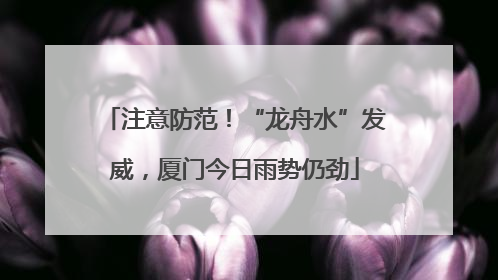 注意防范！“龙舟水”发威，厦门今日雨势仍劲