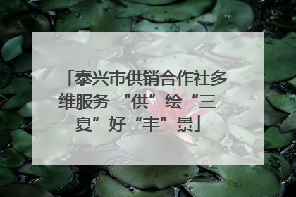 泰兴市供销合作社多维服务 “供”绘“三夏”好“丰”景