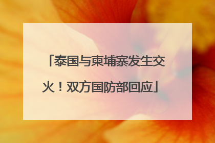 泰国与柬埔寨发生交火！双方国防部回应