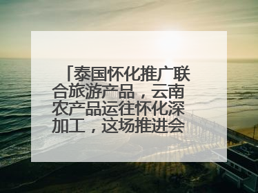 泰国怀化推广联合旅游产品，云南农产品运往怀化深加工，这场推进会干货很多