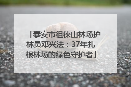 泰安市徂徕山林场护林员邓兴法：37年扎根林场的绿色守护者