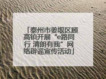 泰州市姜堰区顾高镇开展“e路同行 清朗有我”网络辟谣宣传活动