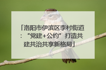 洛阳市伊滨区李村街道：“党建+公约”打造共建共治共享新格局