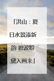 洪山：夏日水景添新韵 碧波粉黛入画来