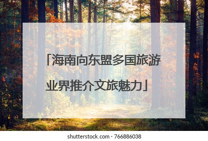 海南向东盟多国旅游业界推介文旅魅力