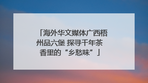 海外华文媒体广西梧州品六堡 探寻千年茶香里的“乡愁味”
