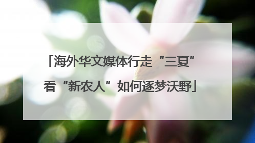 海外华文媒体行走“三夏” 看“新农人”如何逐梦沃野