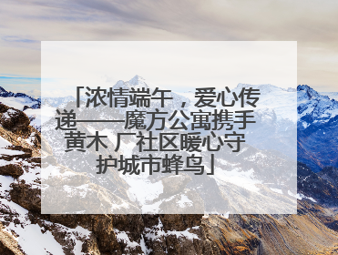 浓情端午，爱心传递——魔方公寓携手黄木 厂社区暖心守护城市蜂鸟