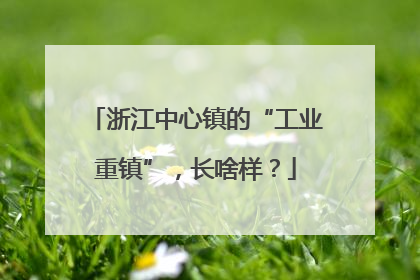 浙江中心镇的“工业重镇”，长啥样？