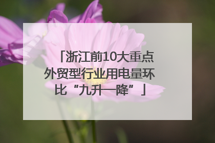 浙江前10大重点外贸型行业用电量环比“九升一降”
