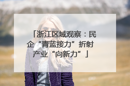 浙江区域观察：民企“青蓝接力”折射产业“向新力”