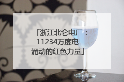 浙江北仑电厂：11234万度电涌动的红色力量