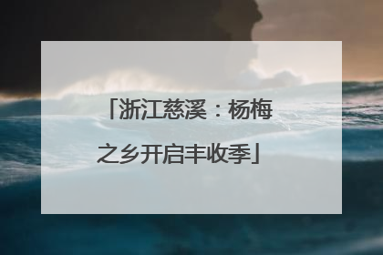 浙江慈溪：杨梅之乡开启丰收季
