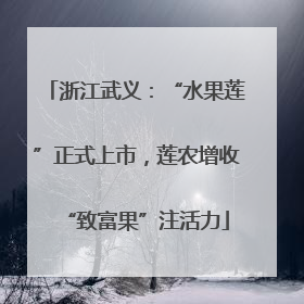 浙江武义：“水果莲”正式上市，莲农增收“致富果”注活力