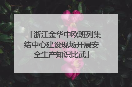 浙江金华中欧班列集结中心建设现场开展安全生产知识比武