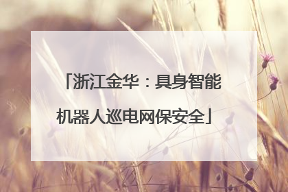 浙江金华：具身智能机器人巡电网保安全
