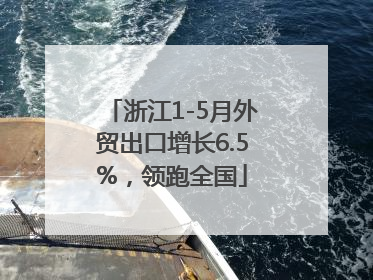 浙江1-5月外贸出口增长6.5%，领跑全国