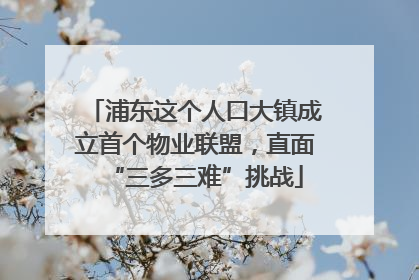 浦东这个人口大镇成立首个物业联盟，直面“三多三难”挑战