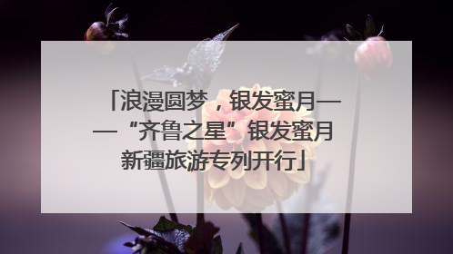 浪漫圆梦，银发蜜月——“齐鲁之星”银发蜜月新疆旅游专列开行